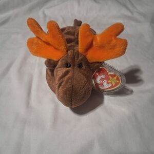 Vintage Chocolate The Moose Ty Beanie Babies Tag Protector 5thGen Retired